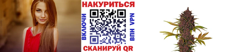 как найти   Кологрив  OMG ССЫЛКА  Канабис план 